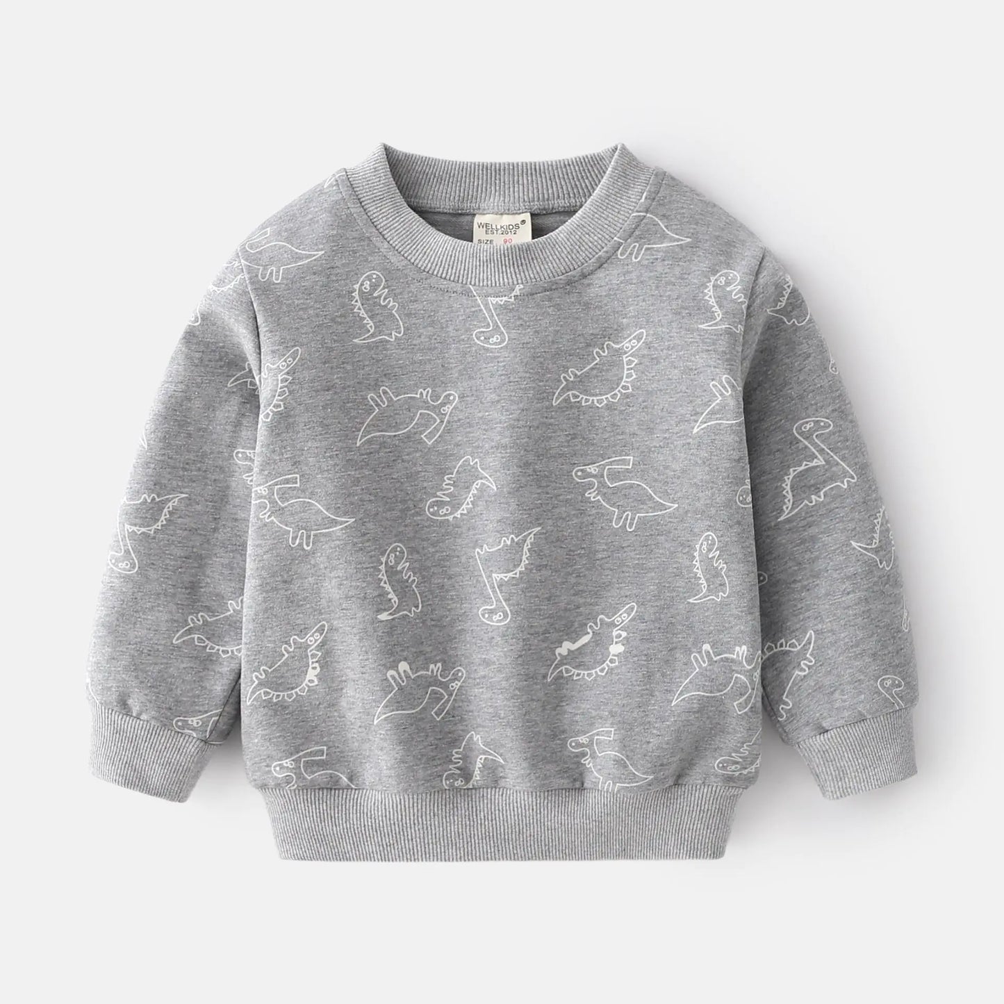 Cute Boy's Blue Grey Long Sleeve Pullover Sweatshirt