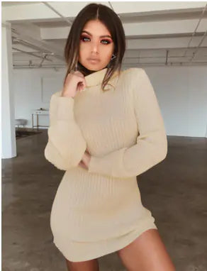 High Collar Slim Fit Long Sleeve Dress
